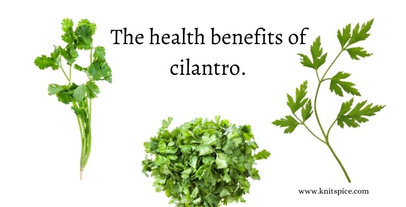 Health benefits of cilantro